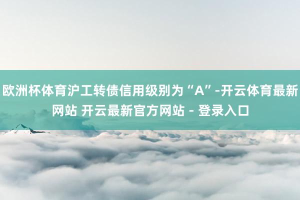 欧洲杯体育沪工转债信用级别为“A”-开云体育最新网站 开云最新官方网站 - 登录入口