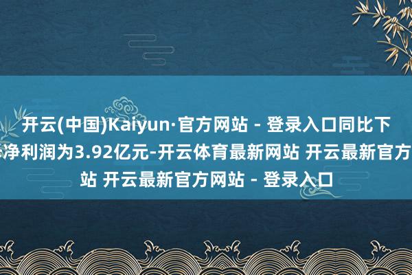 开云(中国)Kaiyun·官方网站 - 登录入口同比下落19.9%；归母净利润为3.92亿元-开云体育最新网站 开云最新官方网站 - 登录入口