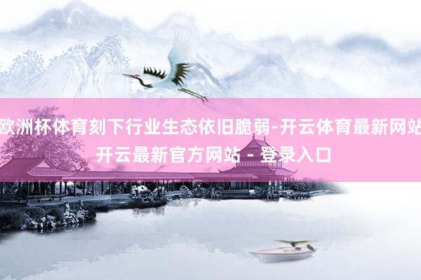 欧洲杯体育刻下行业生态依旧脆弱-开云体育最新网站 开云最新官方网站 - 登录入口