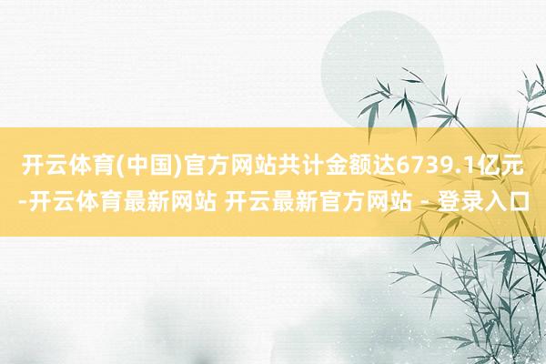 开云体育(中国)官方网站共计金额达6739.1亿元-开云体育最新网站 开云最新官方网站 - 登录入口