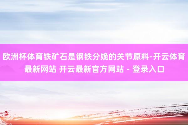 欧洲杯体育铁矿石是钢铁分娩的关节原料-开云体育最新网站 开云最新官方网站 - 登录入口
