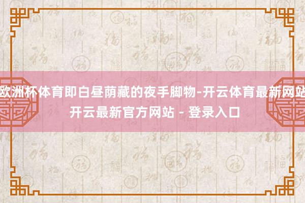 欧洲杯体育即白昼荫藏的夜手脚物-开云体育最新网站 开云最新官方网站 - 登录入口