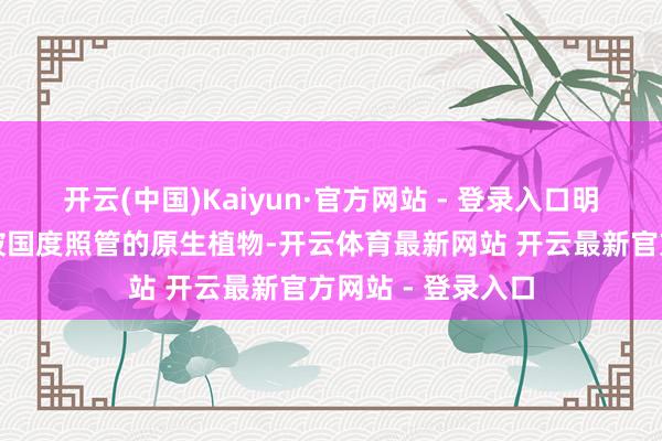 开云(中国)Kaiyun·官方网站 - 登录入口明知某类植物系未被国度照管的原生植物-开云体育最新网站 开云最新官方网站 - 登录入口