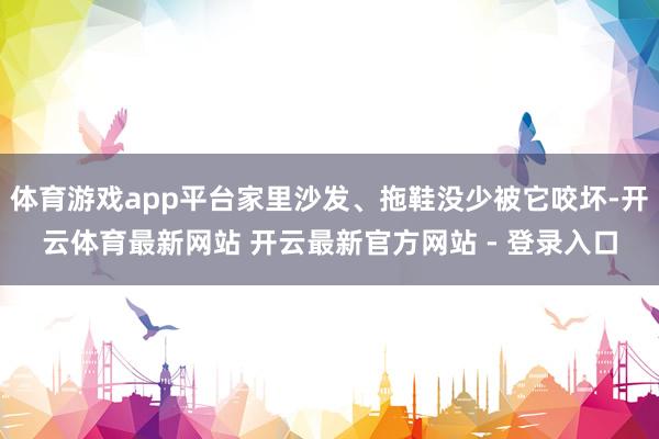 体育游戏app平台家里沙发、拖鞋没少被它咬坏-开云体育最新网站 开云最新官方网站 - 登录入口