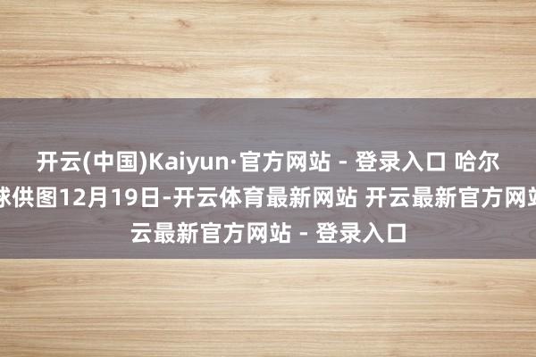 开云(中国)Kaiyun·官方网站 - 登录入口 哈尔滨冰雪大寰球供图　　12月19日-开云体育最新网站 开云最新官方网站 - 登录入口