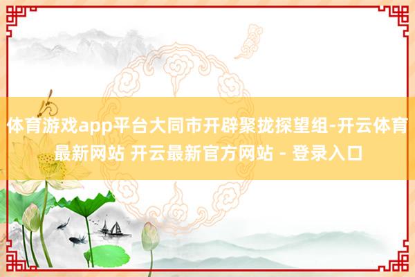 体育游戏app平台大同市开辟聚拢探望组-开云体育最新网站 开云最新官方网站 - 登录入口