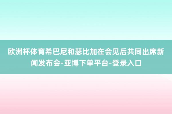 欧洲杯体育　　希巴尼和瑟比加在会见后共同出席新闻发布会-亚博下单平台-登录入口