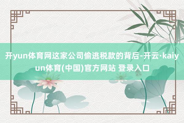 开yun体育网这家公司偷逃税款的背后-开云·kaiyun体育(中国)官方网站 登录入口