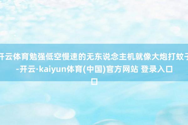开云体育勉强低空慢速的无东说念主机就像大炮打蚊子-开云·kaiyun体育(中国)官方网站 登录入口